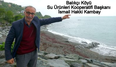 Pazarlı balıkçılar kafes istemiyor: ‘Karadeniz bizim tarlamız’