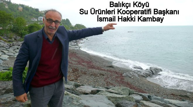 Pazarlı balıkçılar kafes istemiyor: ‘Karadeniz bizim tarlamız’