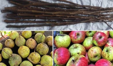 Melyatderesi Derneği’nden Yerel Değerlerimizi Yaşatma Çağrısı
